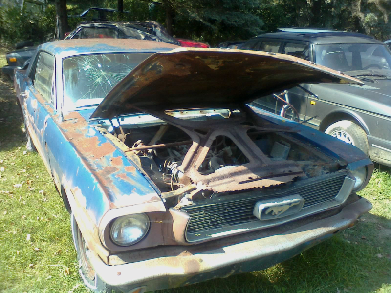 Illustration for article titled I Visited That Must-Sell Car Collection